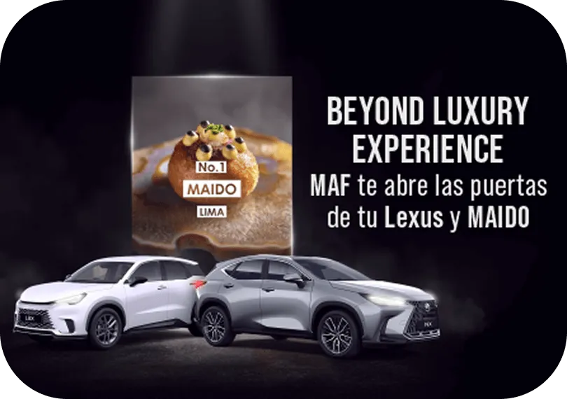 BEYOND LUXURY EXPERIENCE